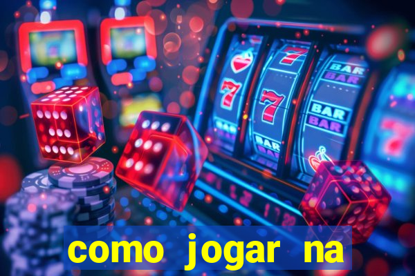 como jogar na lotinha do jogo do bicho